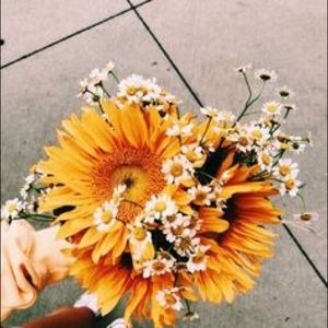 Meet your Posher, Jordyn